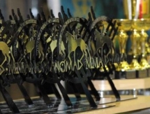Казахстан стал лучшим на чемпионате мира по NOMAD ММА