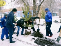 Игроки «Сарыарки» и «Темиртау» приняли участие в экологической акции