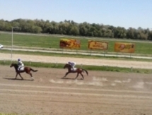 Алматинский ипподром реконструируют в 2016 году