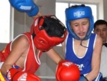 В Кызылорде завершился турнир по боксу памяти Жалантоса Бахадура