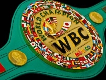 В случае победы Котто над Альваресом, титул WBC может быть передан Головкину