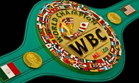 В случае победы Котто над Альваресом, титул WBC может быть передан Головкину