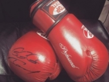 Перчатки с автографом Геннадия Головкина продали с аукциона за 1100 долларов