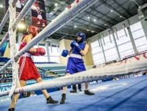 Названы чемпионки Казахстана по боксу