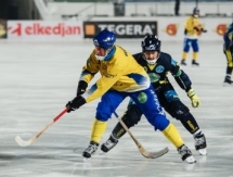 Казахстан крупно проиграл Швеции на чемпионате мира по бенди