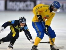 Алексей Никишов: «Казахстанцы недостаточно жестко действовали против шведов»