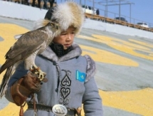 В Жамбылской области прошли соревнования беркутчи
