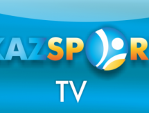 Матч Грузия — Казахстан в прямом эфире покажет «Kazsport»