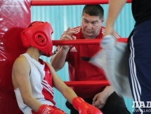 Боксеры из Мангистау завоевали 11 золотых медалей на зональном чемпионате Казахстана