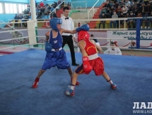 Боксеры из Мангистау завоевали 11 золотых медалей на зональном чемпионате Казахстана