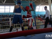 Боксеры из Мангистау завоевали 11 золотых медалей на зональном чемпионате Казахстана