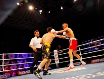 Фоторепортаж с матчей 1/2 финала WSB «British Lionhearts» — «Astana Arlans» 3:2, 4:1