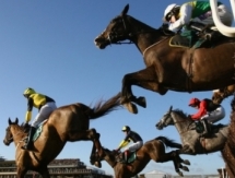 В Павлодарской области состоялся республиканский турнир по конным скачкам 