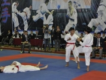 Мангистауская команда заняла второе место в чемпионате РК по карате-до