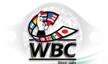 WBC объяснил исключение из рейтингов потенциального соперника Головкина, Альвареса