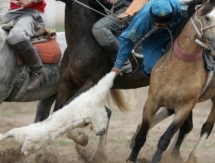 В Вооруженных силах Казахстана создана штатная команда по кокпару