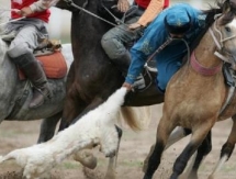 Кокпаристы Казахстана разгромили Китай на Всемирных играх кочевников