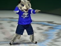 Фоторепортаж с матча КХЛ «Барыс» — «Нефтехимик» 5:4