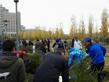 Олимпийцы будут ухаживать за именными деревьями в парке Астаны