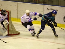 Фоторепортаж с матча МХЛ «Алтай» — «Ладья» 5:9