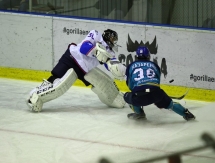 Фоторепортаж с матча МХЛ «Алтай» — «Ладья» 5:9