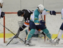 Фоторепортаж с матча ВХЛ «Молот-Прикамье» — «Торпедо» 3:5