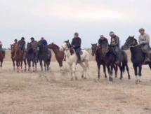 В Таразе состоялся турнир по кокпару