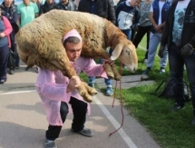 В Таразе прошел спортивный фестиваль