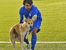 Рыжий пес выбежал на поле во время матча «Иртыш» — «Астана»