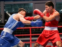 Александр Стрельников: «Алимханулы два раунда жалел себя, экономил силы»