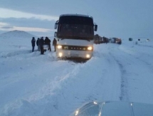 Юных хоккеистов «Торпедо» спасли на трассе в Акмолинской области