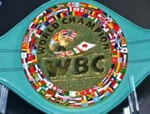 WBC не будет препятствовать бою Головкин — Альварес