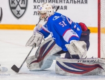Фоторепортаж с матча МХЛ «Ладья» — «Снежные Барсы» 5:2