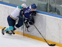 Фоторепортаж с матча ВХЛ «Динамо» Балашиха — «Торпедо» 4:5