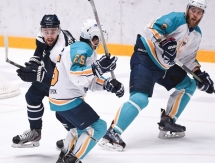 Фоторепортаж с матча ВХЛ «Динамо» Санкт-Петербург — «Торпедо» 3:2 ОТ