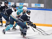 Фоторепортаж с матча ВХЛ «Динамо» Санкт-Петербург — «Торпедо» 3:2 ОТ