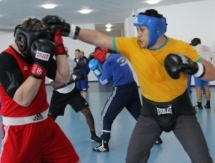 Сборная Казахстана проводит совместные УТС с боксерами из США и Германии