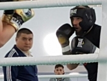 Левит отправил в нокдаун немецкого боксера-тяжеловеса