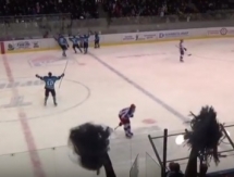 Видеообзор матча ВХЛ «Торпедо» — «Звезда» 3:1