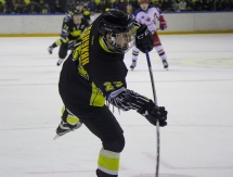 Фоторепортаж с матча плей-офф ВХЛ «Сарыарка» — «Звезда» 5:0