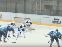 Видео матча плей-офф ВХЛ «Торпедо» — «Динамо» Санкт-Петербург 3:2 ОТ