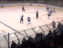 Видеообзор матча плей-офф ВХЛ «Торпедо» — «Динамо» Санкт-Петербург 5:2