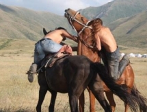 Молодежный чемпионат Казахстана по национальным конным видам спорта проведут в Таразе