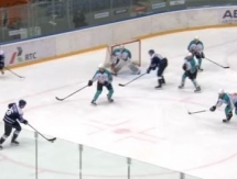 Видеообзор матча финала плей-офф ВХЛ «Динамо» Балашиха — «Торпедо» 5:2