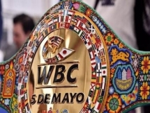 Специальный пояс WBC назвали попыткой «отмазать» Канело от боя с Головкиным