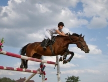 В Казахстане начали развивать конный спорт по олимпийской системе