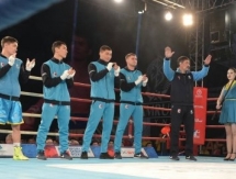 <strong>Трансляция матча плей-офф WSB «Patriot Boxing Team» — «Astana Arlans»</strong>