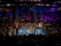 Почему стоит бояться стоимости билетов на бой Головкин — Альварес