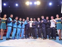 Cостав пар полуфинала WSB «British Lionhearts» — «Astana Arlans»