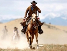 Американские ковбои сыграют в кокпар в Астане